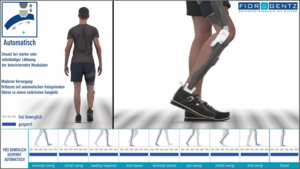 Darstellung der Funktion einer Orthese KAFO mit automatischem Kniegelenk SCO mit Sicherung in der Standphase und physiologischem Knieflexionswinkel Knie in der mittleren Schwungphase