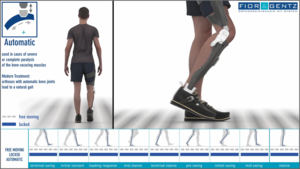 display of function of an orthosis KAFO with automatic knee joint SCO joint with stance phase control and physiological knee flexion angle in mid swing phase