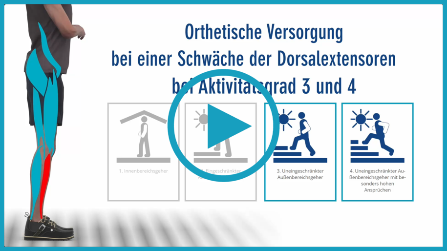 Video zur Beschreibung der Funktion der Fußhebermuskulatur Dorsalextensoren. Bei Lähmung der Dorsalextensoren kommt es zur Peroneuslähmung Peroneusparese Fußheberschwäche und damit zum Fallfuß Hängefuß, was zu Stolpern beim Gehen und einem Gangbild mit Zirkumduktion und Hip Hiking Anheben der Hüfte führt. Die zu schnelle Lastübernahme in loading response zeigt sich in einer schnellen Vorfußabsenkung mit hörbarem klatschenden Geräusch. Mit einem Hillfsmittel Orthese AFO mit dem Orthesengelenk NEURO VARIO SWING wird das Gangbild verbessert und Stolpern verhindert. Über den einstellbaren Dorsalanschlag kann der Orthesenaufbau stufenlos eingestellt werden. Die kontrollierte Vorfußabsenkung kann über die Federstärke eingestellt werden.
